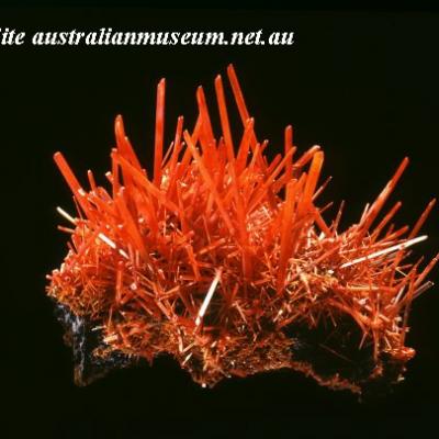 Crocoite